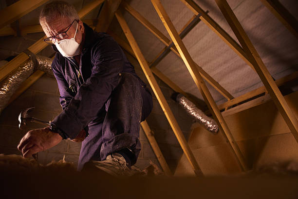 Best Crawl Space Insulation  in Crestwood, IL